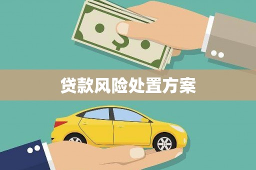 百色贷款风险处置方案