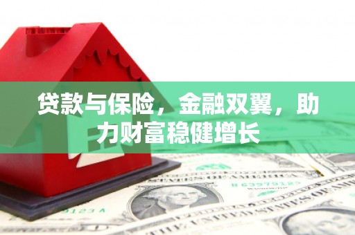 百色贷款与保险，金融双翼，助力财富稳健增长