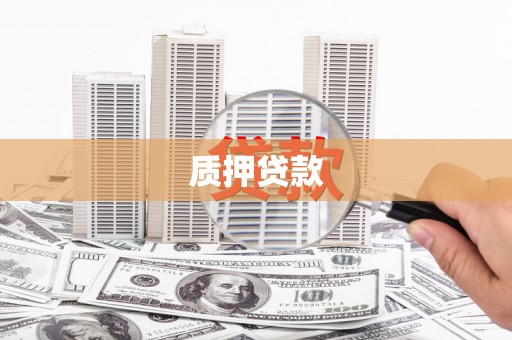 百色质押贷款