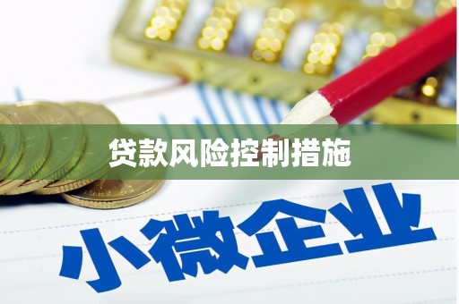 百色贷款风险控制措施