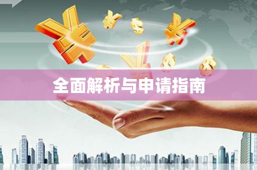 百色全面解析与申请指南