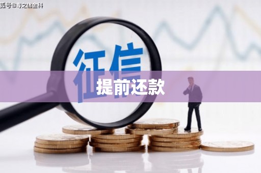 百色提前还款
